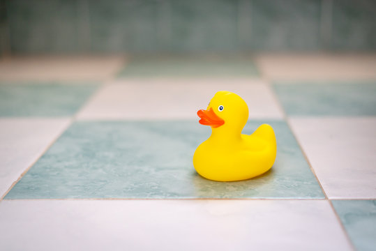 Patito de goma amarillo en el ba&ntilde;o