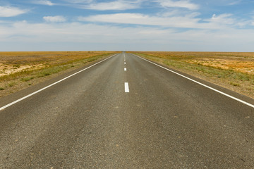 Fototapeta na wymiar empty asphalt road across the steppe, Kazakhstan