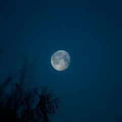Fototapeta na wymiar full moon in the night sky