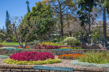 Madeira Blumenpracht