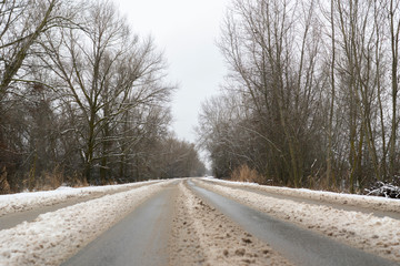 Obraz premium the snowy highway road going through the forest and trees, winter season