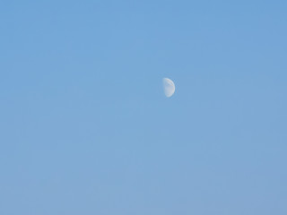 The moon shines beauty also in the afternoon.