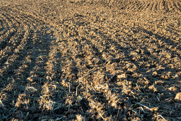 newly plowed field of land showing land marks