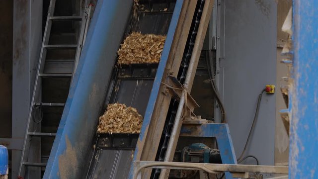 Industrial production of Pellet-Transport chipped wood scraps - (4K)