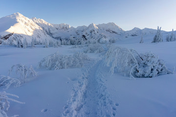 Obraz premium Snowy peaks of the High Tatras in the afternoon sun.