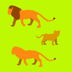 set of lions animals. small and big, lion shpaes. vector clipart