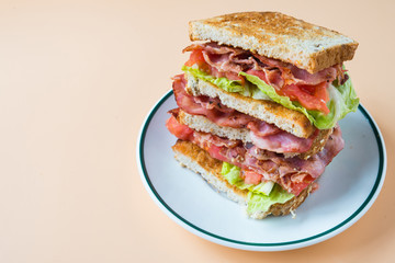 A BLT is a type of sandwich, named for the initials of its primary ingredients, bacon, lettuce and tomato