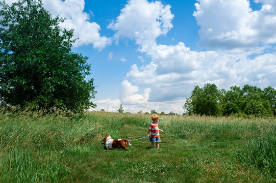 Toddler boy walking basset hound dog in field outdoors