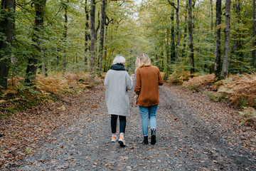 Two women walking in a autumnal forest while checking their smartphone