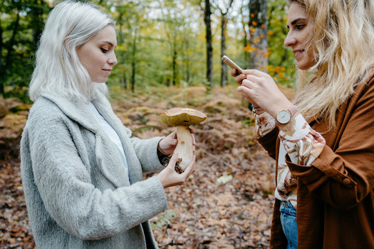 Women sharing a picture of a giant mushroom she found in the forest