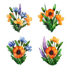 Watercolor set of wild flowers - poppies, cornflower, salvia and meadow grass . Vintage floral compositions isolated on white background. For greeting cards, gifts and holydays
