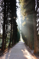 Fototapety na wymiar - Fototapeta24.pl