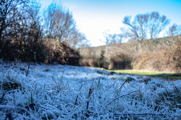 mañana helada