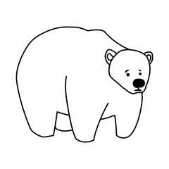 big white polar bear on white background