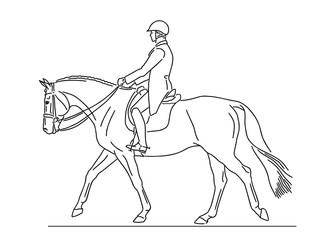 Fototapeta na wymiar Horseman and horse perform a step during the test