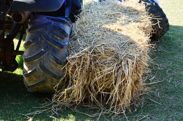 Straw bales