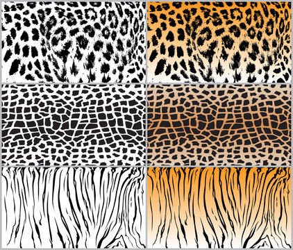 set animal pattern texture giraffe cow leopard tiger stripe orange white black jungle safari print