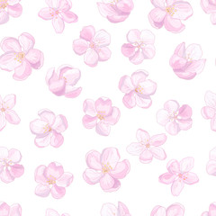 Fototapeta na wymiar Vector seamless pattern with apple blossom flowers