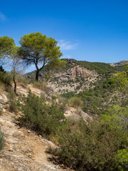 Fototapeta na wymiar Valley in Gaitanejo Park next to the royal El Chorro trail. Spain