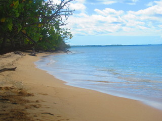 Une plage de sable blanc entre la forêt et la mer calme et turquoise