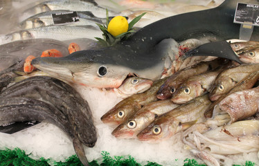étalage de poissons