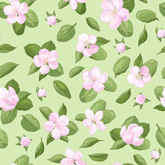 Seamless pattern with apple blossoms on a green background