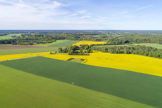 Aerial view of a green field in a rural area Orguse, Rapla County, Estonia