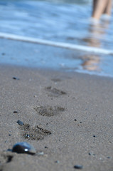 Fototapeta na wymiar Beach travel. Woman walking on sand beach leaving footprint in the sand.