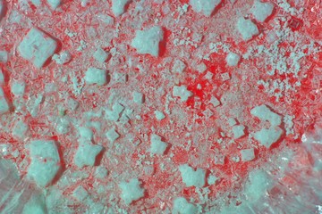 Salt crystals at the bottom of the dishes. Highlighted in red using a smartphone.