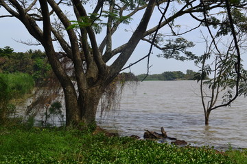 lake shore