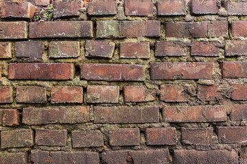 old time pitied brick wall. Brick wall