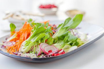 Freshly prepared green salad on a plate