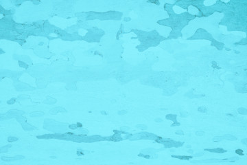 Platanus or sycamores bark tree background. Abstract texture background. Turquoise toned photo