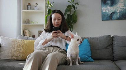 Footage of gorgeous young woman with black hair using smartphone. Girl and lovely Chihuahua sitting on couch. Good mood. Indoors. Modern apartment.