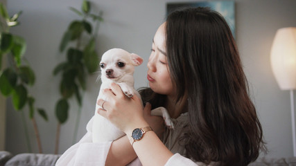 Close-up shooting of pleasant-looking happy Chinese young woman holding little buddy. White cute...