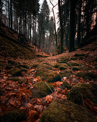 Wanderung durch den Uttewalder Grund Sächsische Schweiz 