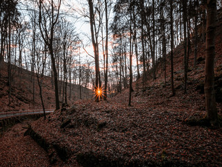 Wanderung durch den Uttewalder Grund Sächsische Schweiz 