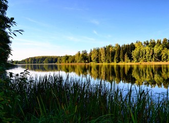 deep dark forest lake with reflections of trees and green foliage with shadows textured background