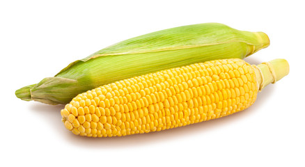 corn