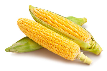 corn
