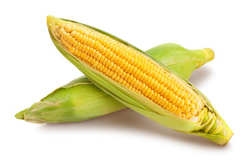 corn