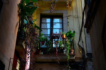 Balcony of a house full of flowers and plants.