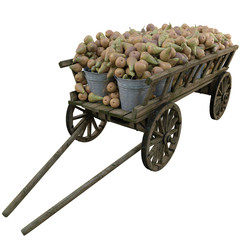 Harvest pears in a wooden cart