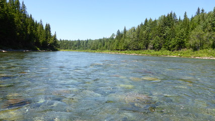 Rivi&egrave;re Canada