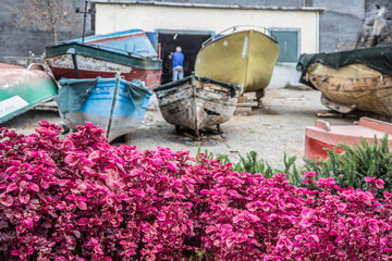 Fototapety na wymiar - Fototapeta24.pl