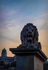 Budapest, Hungary - August 29, 2019: Stone sculpture of a majestic lion at the entrance to the Secheni Chain Bridge in Budapest. Famous tourist attraction of the capital of Hungary. Secheni Bridge and