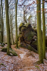 Elbsandsteingebirge - Sächsische Schweiz - Waldlandschaft mit Felsen
