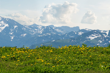 Fototapeta premium Alpian landscape in summer