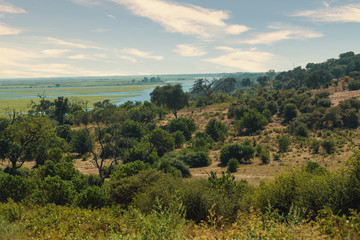 Fototapeta na wymiar picturesque landscape of Chobe river in Botswana. Africa wilderness