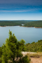 A small pine tree dominates the foreground as you look out over Greer's Ferry lake from atop Sugarloaf Mountain.